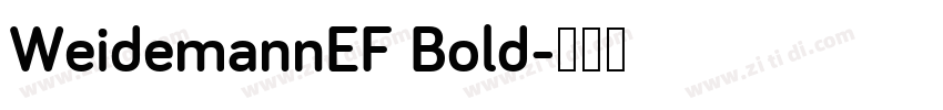 WeidemannEF Bold字体转换